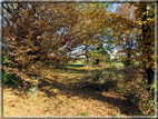 foto Alle pendici del Monte Grappa in Autunno